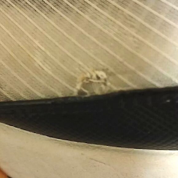 Mens Nike air max 290 sneakers. Size 7.5 - Picture 8 of 9